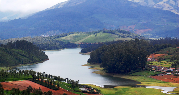 ooty