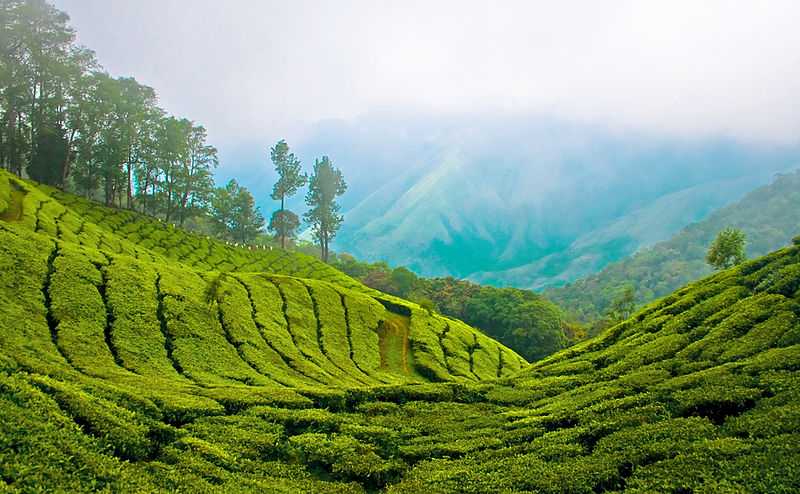 munnar