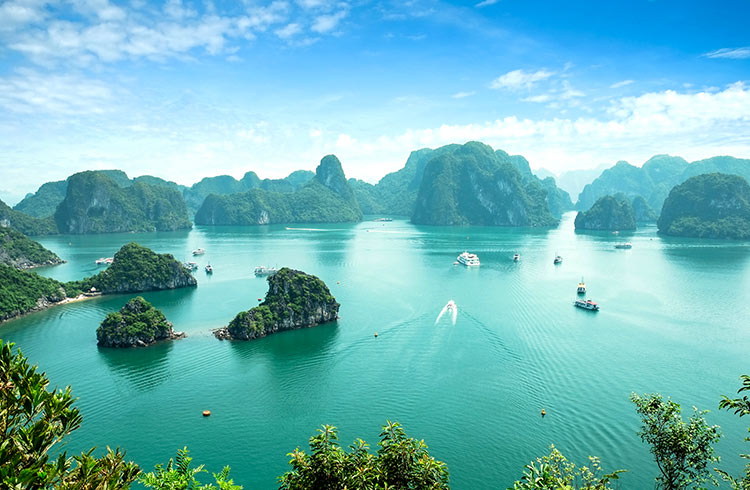halong